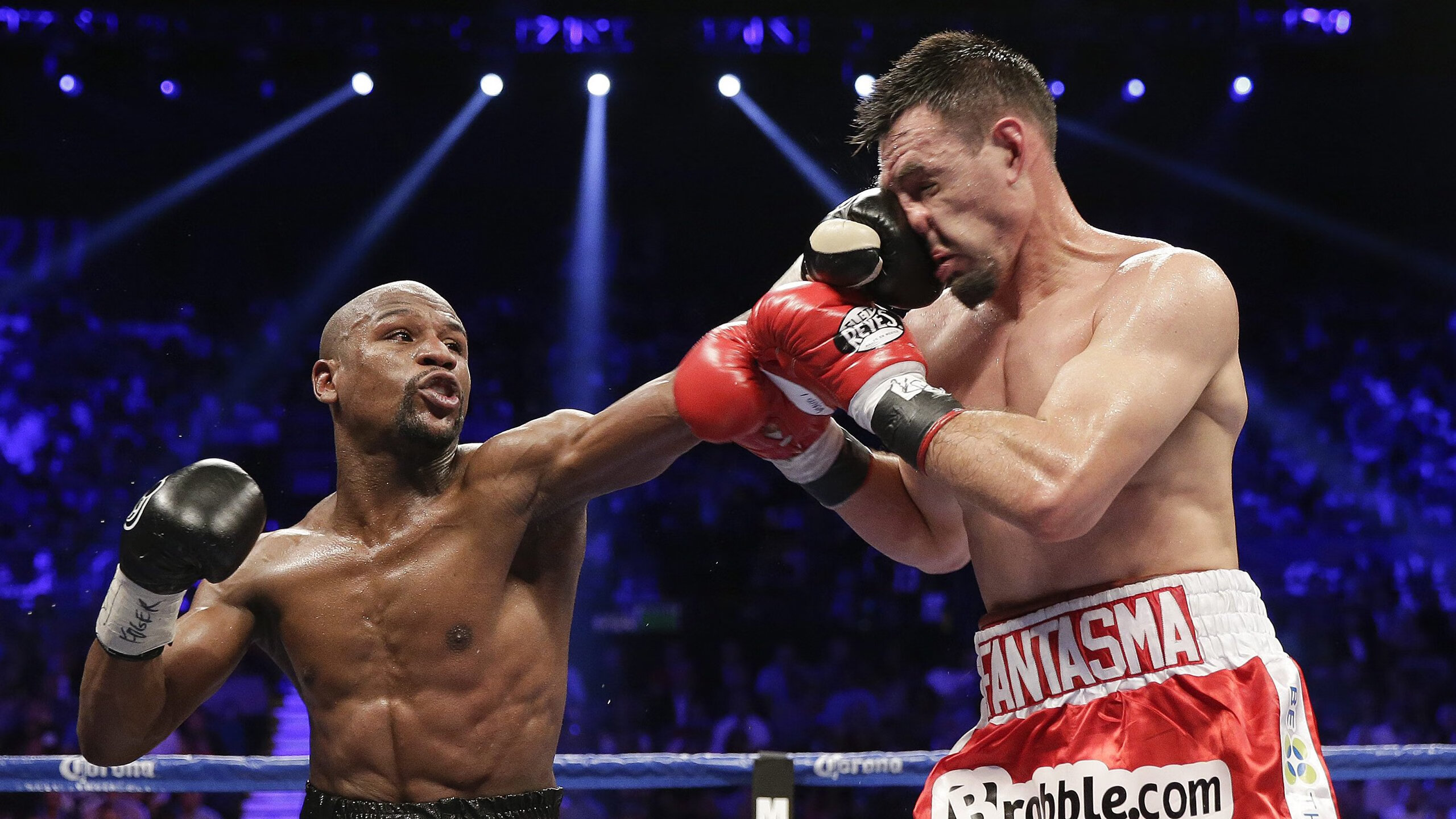 体育焦点快讯全网热议,体育焦点事